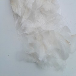 white 25g