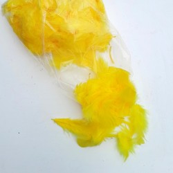 yellow 25g