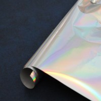 TXLAZ-1 holographic lazer per metre