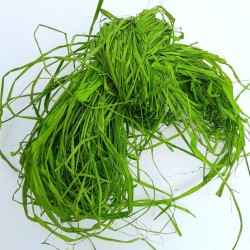 rafia green 100g